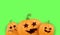 Halloween Horizontal web Banner or poster with Halloween scary pumpkins isolated on green screen background. Funky kids