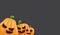 Halloween Horizontal web Banner or poster with Halloween scary pumpkins isolated on grunge grey wall background. Funky