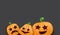 Halloween Horizontal web Banner or poster with Halloween scary pumpkins isolated on grunge grey wall background. Funky