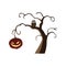 Halloween horrible pumpkin hanging on a gnarled tree branch, owl, eagle owl. Isolated, white background. For design.