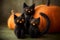 Halloween - inspired felted crafts