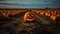 Halloween Jack-o\\\'-lantern in a field with pumpkins, spooky and scary mood, Trick or treat, October, autumn