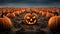 Halloween Jack-o\\\'-lantern in a field with pumpkins, spooky and scary mood, Trick or treat, October, autumn