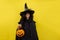 Halloween kid holds candy bowl in his hand jack o lantern and waiting for sweets. Child in black sorcerer's costume