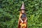 Halloween kids. funny cute happy little girl in orange witch costume, black hat with pumpkin Jack,