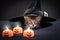 A Halloween kitten sits under a witch's hat with pumpkin candles on a black background. Card for a holiday with a cat.