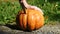 Halloween. Man carves a face in a pumpkin to make a jack o`lantern.