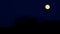 halloween moon background. Moonlight night.moon background. Round yellow moon over black bushes against a dark blue sky.