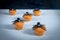 Halloween muffins and spiders, party baking ideas for kids, scary, spooky