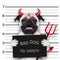 Halloween mugshot dog