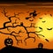 Halloween night orange background with witch and pumpkins