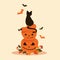 Halloween objects - black cat sits on pumpkins