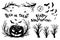 Halloween objects. Scary tree twigs, bats and pumpkin lanterns