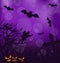 Halloween ominous background with pumpkins, bats,