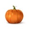 Halloween orange pumpkin. Isolated traditional realistic food. October holiday decoration vector illustration. Autumn