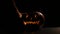 Halloween, orange pumpkin with a scary luminous face on a dark background. Puts a candle in jack-o-lantern. Close-up of