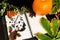 Halloween.orange pumpkin writing pad with painted black Jack. dry foliage dry berries with empty space