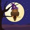 Halloween Owl night