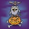 Halloween, owl, pumpkin, bone and bat