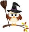 Halloween owl with witch broom