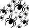 halloween paper black spiders isolated on white