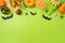 Halloween party concept. Pumpkin, candy and decorations on green background. Top view, flat lay