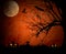 Halloween party with pumpkins devils celebrated with their friends in full moon dark night background