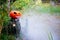 Halloween pumpkin in the autumn forest on an old stump. Jack lantern with steam from the mouth. In smoke or fog. Vaping vegetable