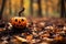 Halloween pumpkin in autumn gloomy forest