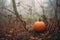 Halloween pumpkin in autumn gloomy forest