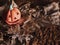 Halloween pumpkin background. fall parties