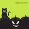 Halloween pumpkin and black cat
