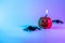 Halloween pumpkin. Black night spider, scary spooky pumpkin on night neon helloween background. Minimalistic background