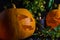 Halloween pumpkin. Candles, bat and glowing pumpkin. Harvest for Halloween. Dark atmosphere for holiday