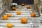 Halloween pumpkin decoration on stairs