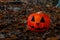 Halloween Pumpkin in the Forest. Scary pumpkin decorations with creepy toothy smile at wood background