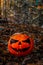 Halloween Pumpkin in the Forest. Scary pumpkin decorations with creepy toothy smile at wood background