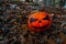 Halloween Pumpkin in the Forest. Scary pumpkin decorations with creepy toothy smile at wood background