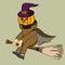 Halloween pumpkin ghost witch cartoon character design illustration riding a broomstick in October