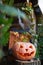 Halloween pumpkin head lantern with eyes and a face on a stump