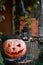 Halloween pumpkin head lantern with eyes and a face on a stump