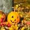 Halloween pumpkin head on a stump in front of forest background. Celebration theme, text space