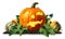 Halloween Pumpkin Jack o Lantern