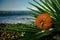 Halloween pumpkin on a palm leaf on the wet stones of the sea coast. the symbol of the harvest