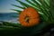 Halloween pumpkin on a palm leaf on the wet stones of the sea coast. the symbol of the harvest