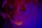 Halloween pumpkin`s grin inside illuminated by a candle. Pumpkin Head in blue light with smoke. Spooky pumpkin lantern in the