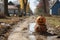a halloween pumpkin sitting in the middle of a muddy road
