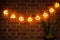 Halloween pumpkin string lights glowing , hanging on brick wall with house plant decoration. Halloween decoration concept