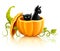 Halloween pumpkin vegetable with black cats