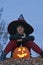 Halloween pumpkin with witch sitting